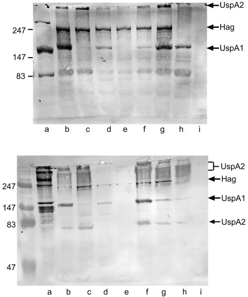 FIG. 4.