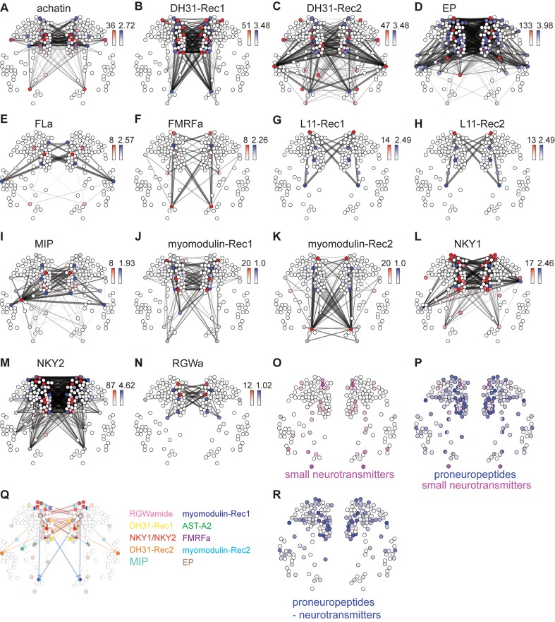 Figure 3—figure supplement 4.