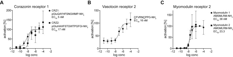 Figure 3—figure supplement 1.