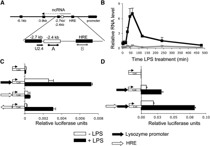 Figure 4