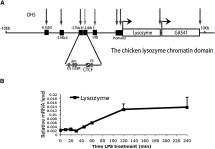 Figure 1