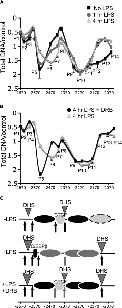 Figure 7