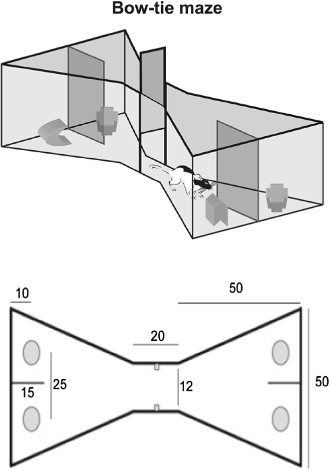 Fig. 1