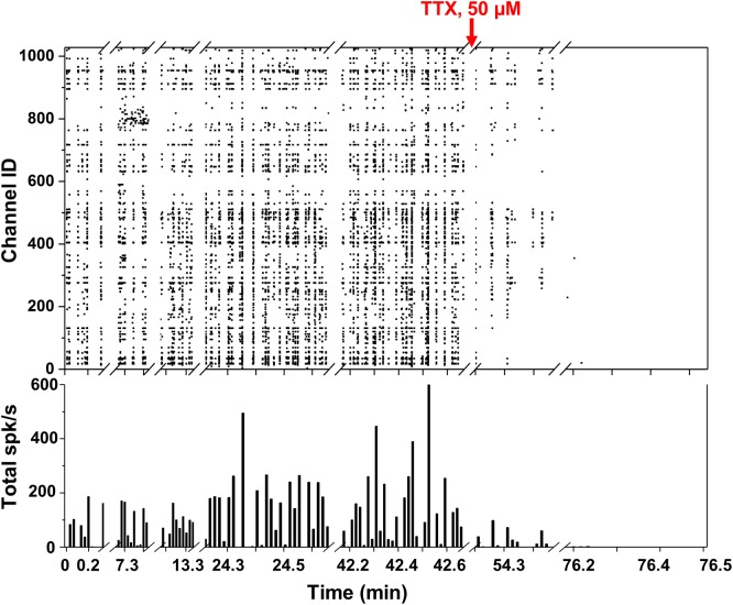 FIGURE 4