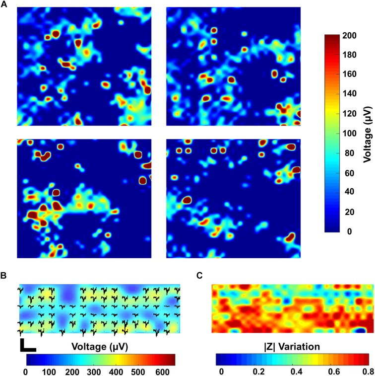 FIGURE 6