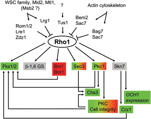 FIG. 4.