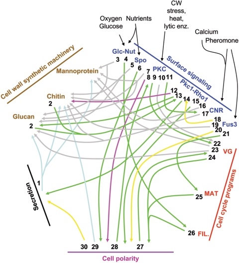 FIG. 6.