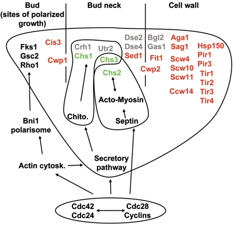 FIG. 5.