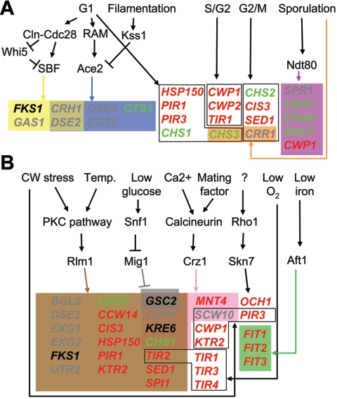 FIG. 3.