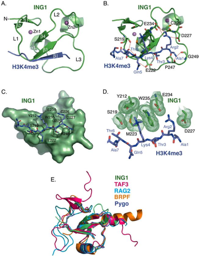 Fig. (2)