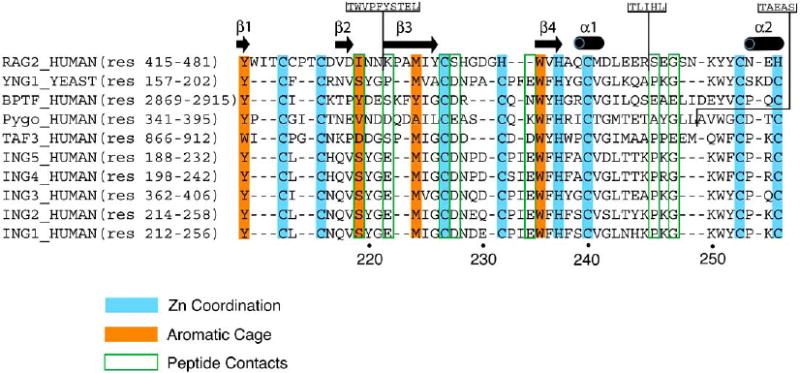 Fig. (1)