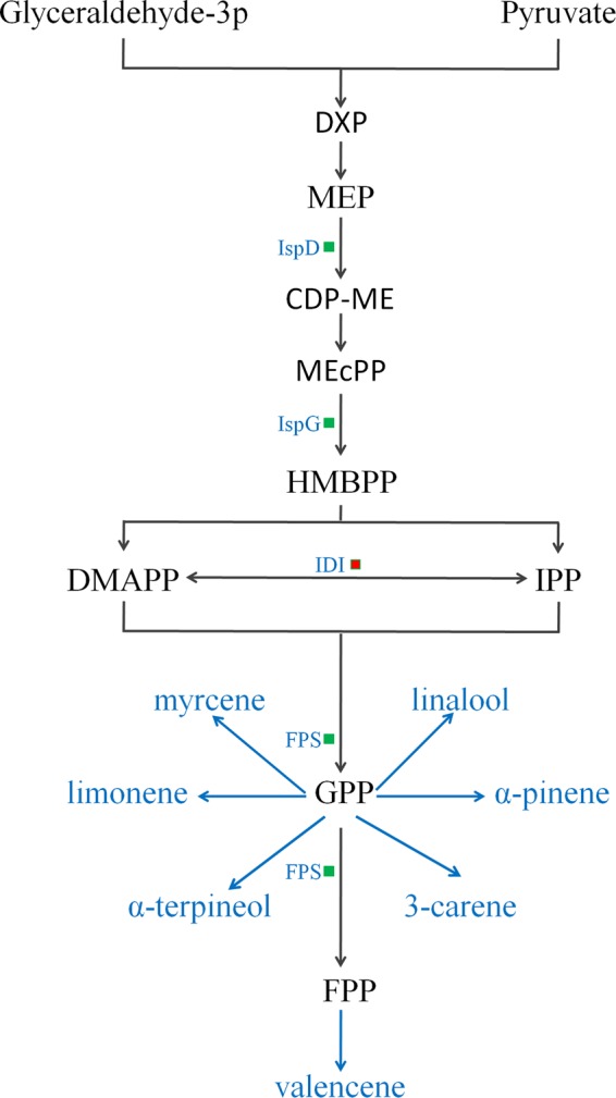 Fig. 5