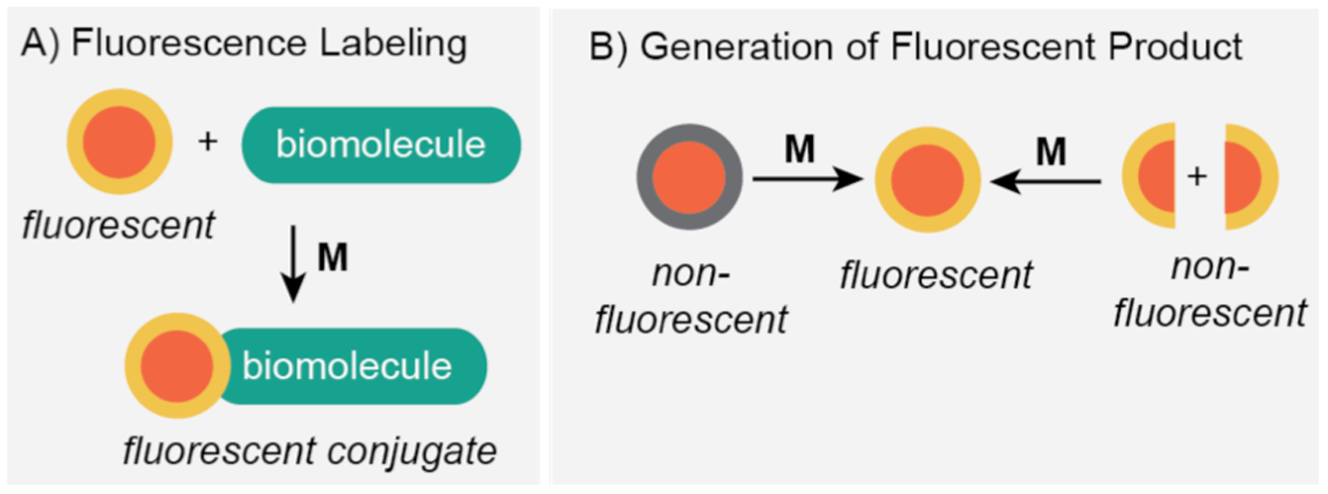 Scheme 3.