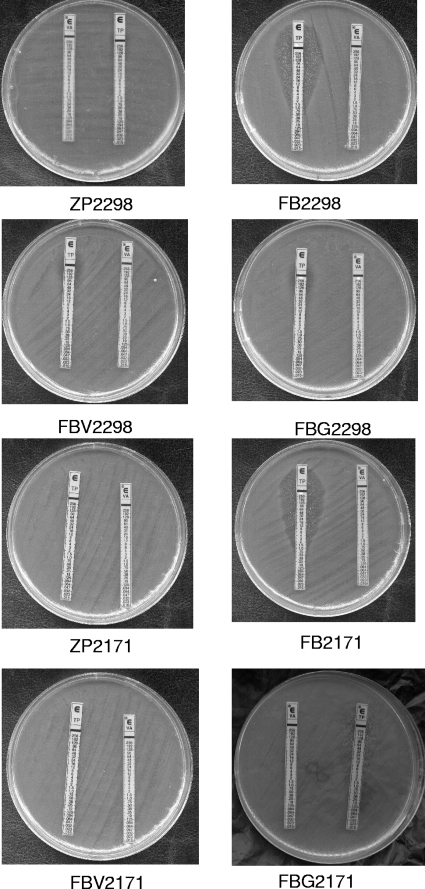 FIG. 1.