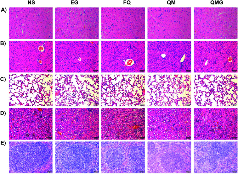 Fig. 9