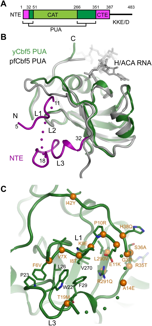 Figure 3.