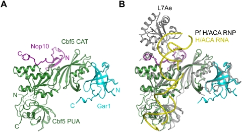 Figure 2.