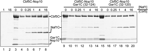 Figure 6.