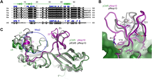 Figure 4.