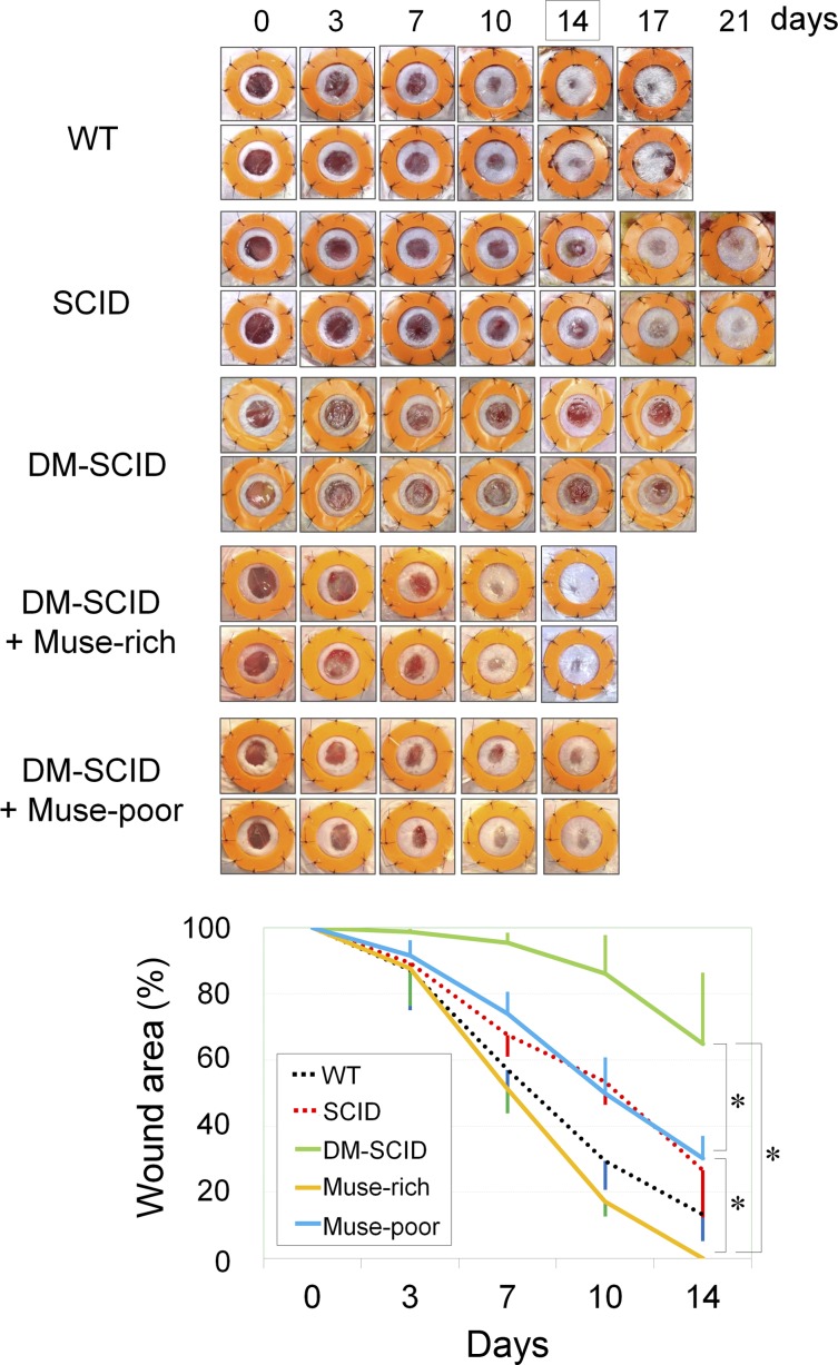 Figure 5.