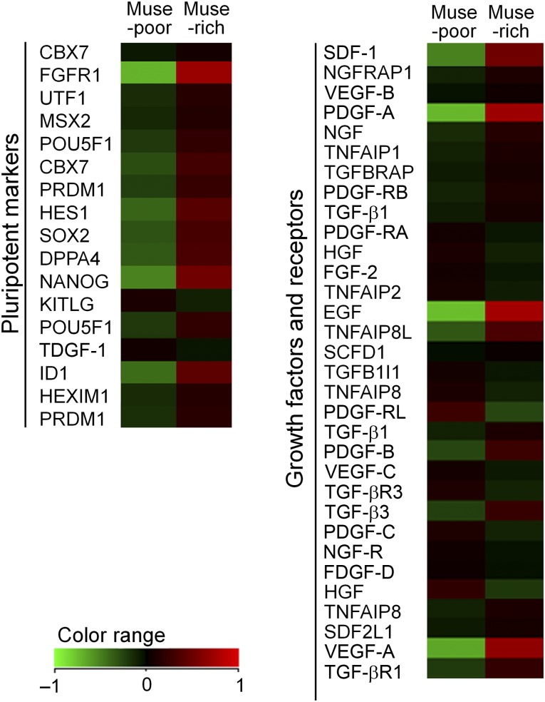 Figure 4.