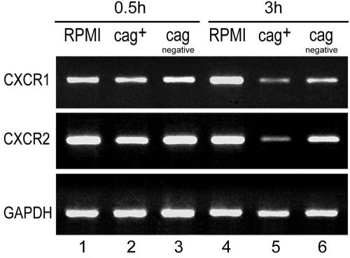 FIG. 5.