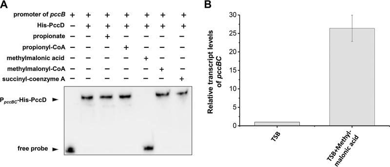 FIG 5