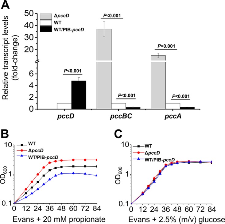 FIG 3