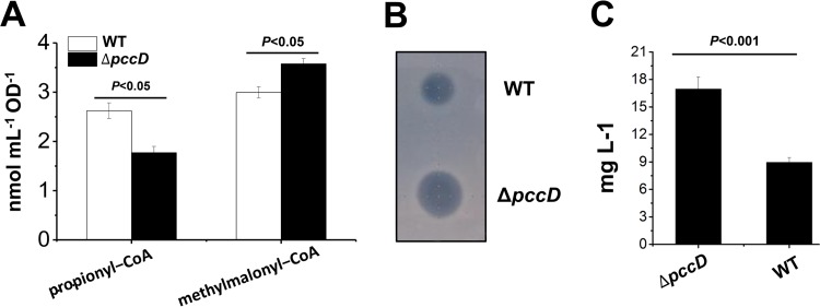 FIG 6