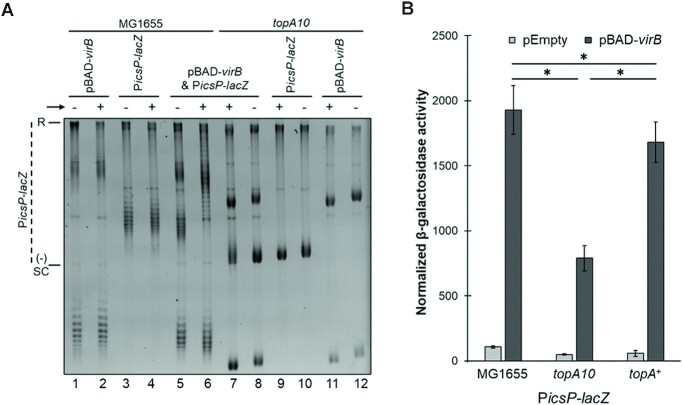 Figure 5.