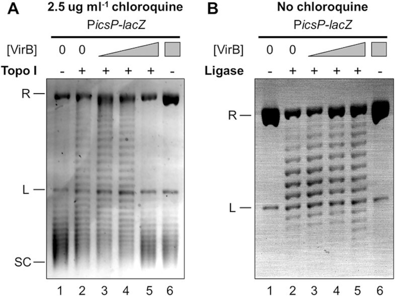 Figure 6.