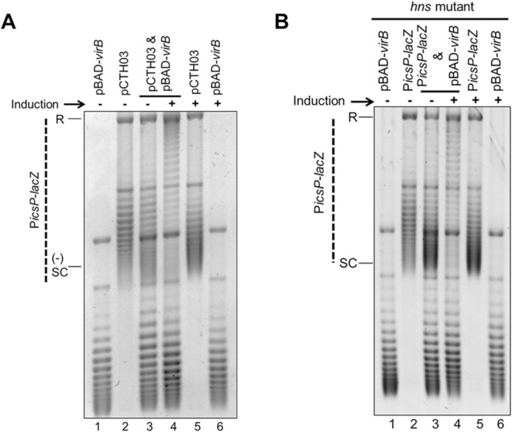 Figure 3.