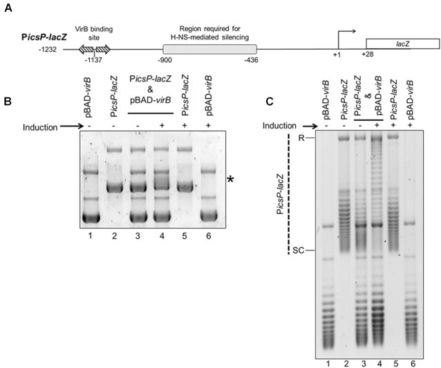 Figure 1.