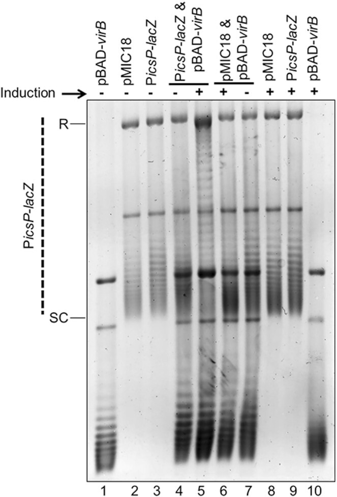 Figure 2.