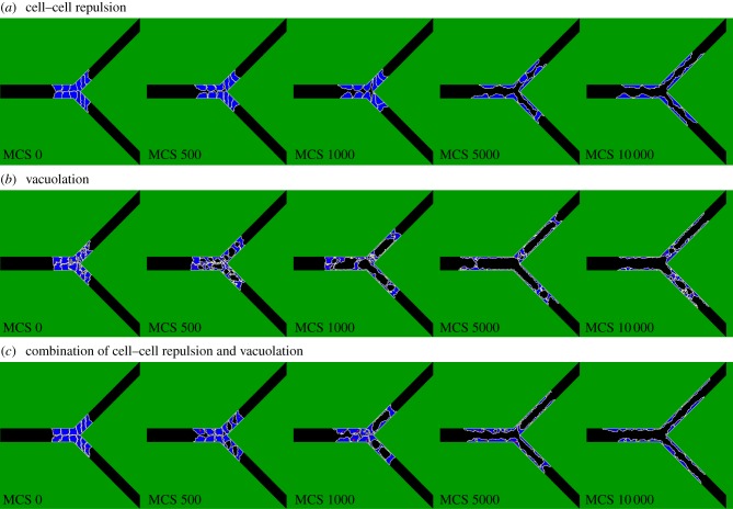 Figure 4.