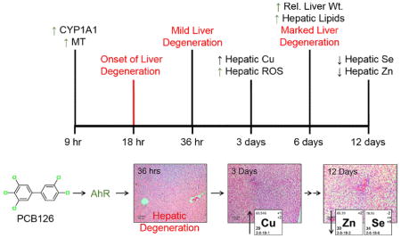 graphic file with name nihms730022u1.jpg