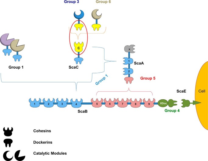 FIGURE 1.