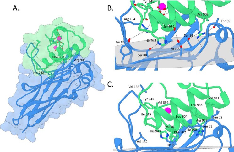 FIGURE 2.