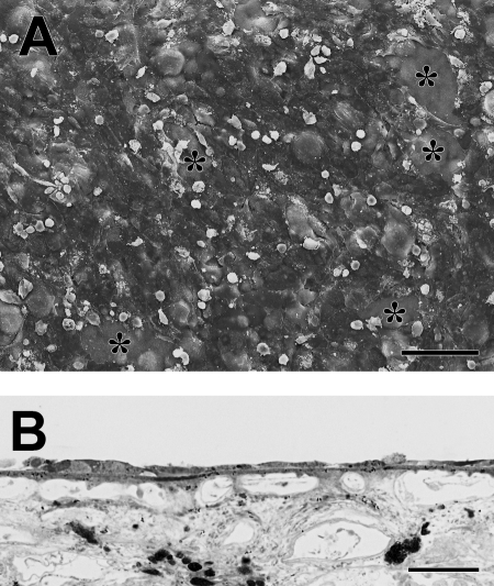 Figure 10.