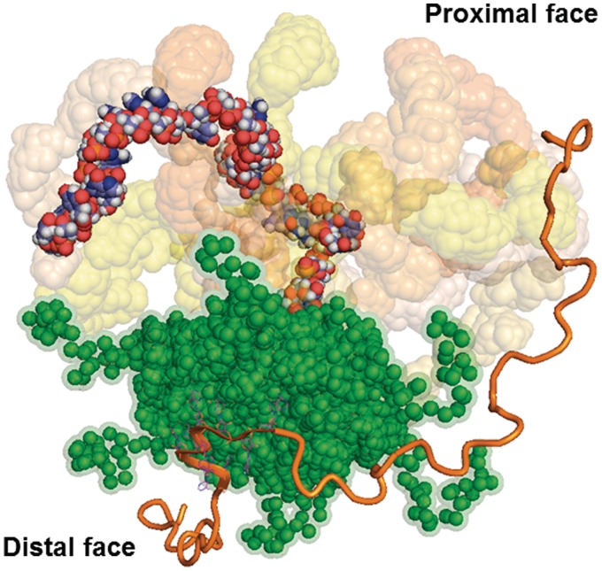 Figure 6.