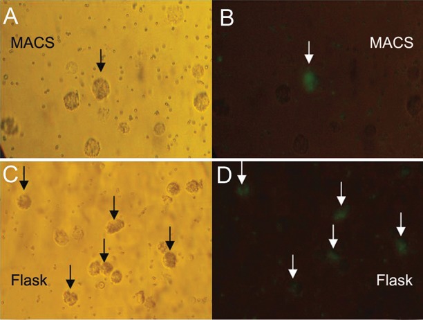 Fig 4