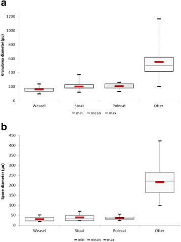 Fig. 10