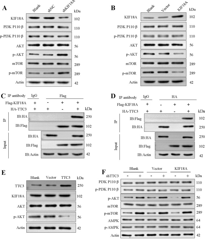 Fig. 5