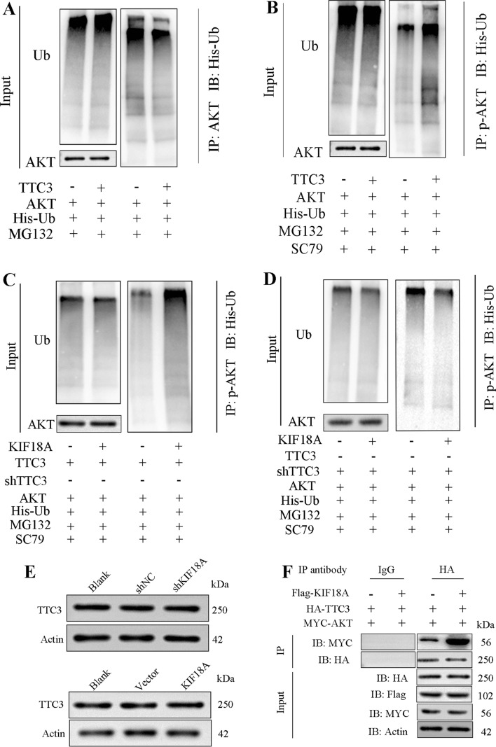 Fig. 6