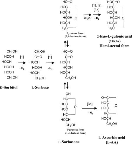 FIG. 6.