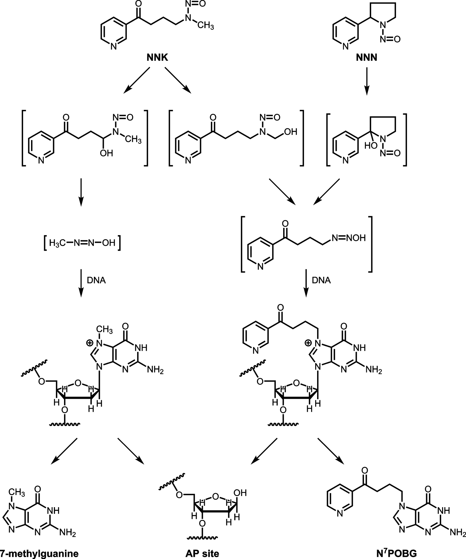 Scheme 1.