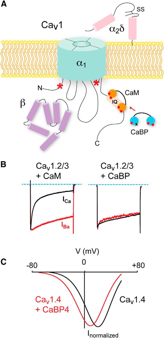 Figure 2.