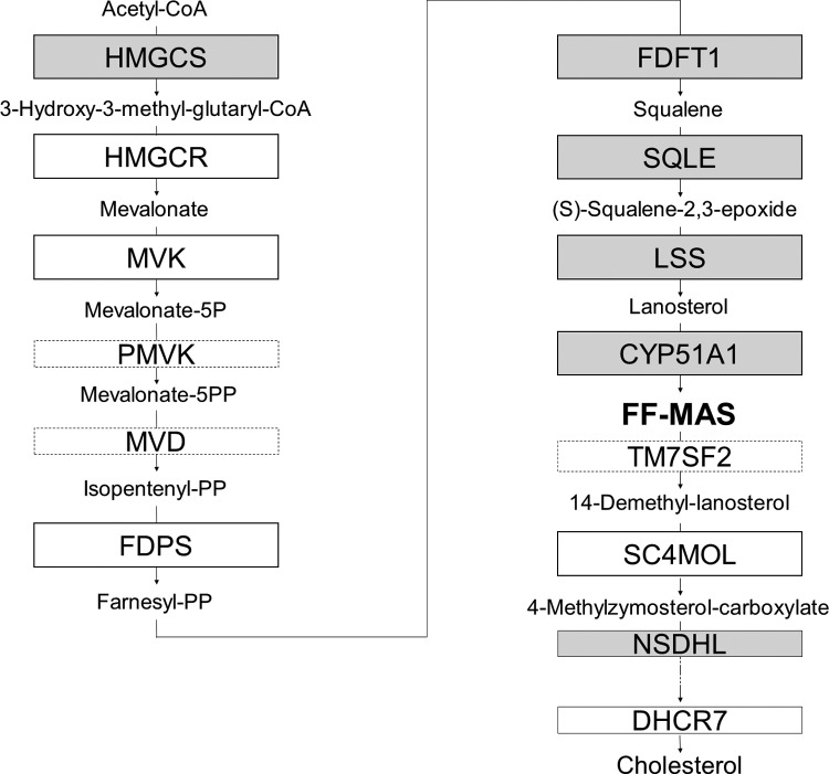 Figure 3.