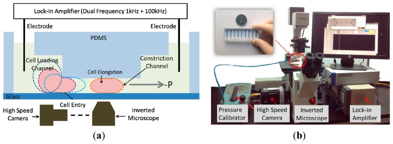 Figure 1.