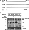 FIG 5